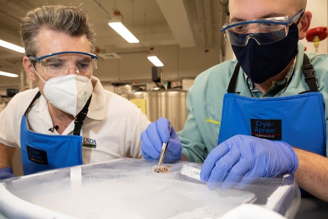 Two people in protective equipment in a lab.